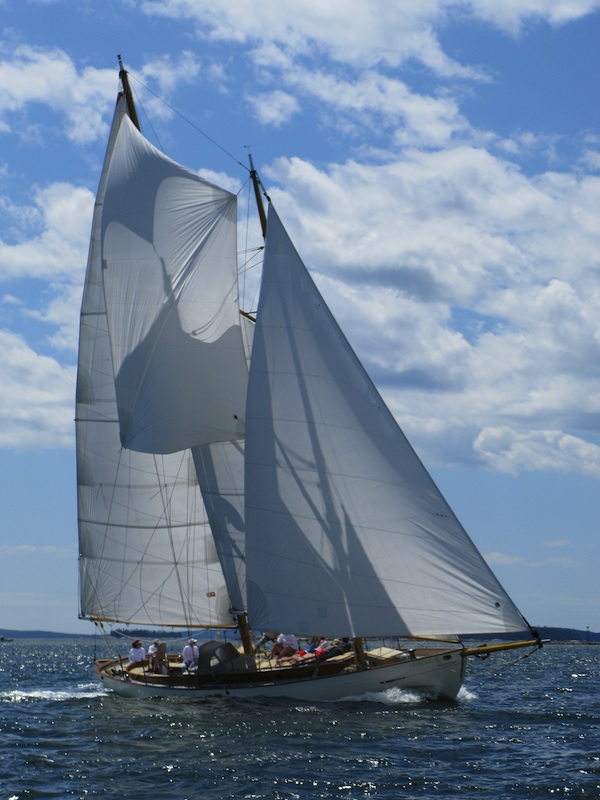 schooner yacht heron photos